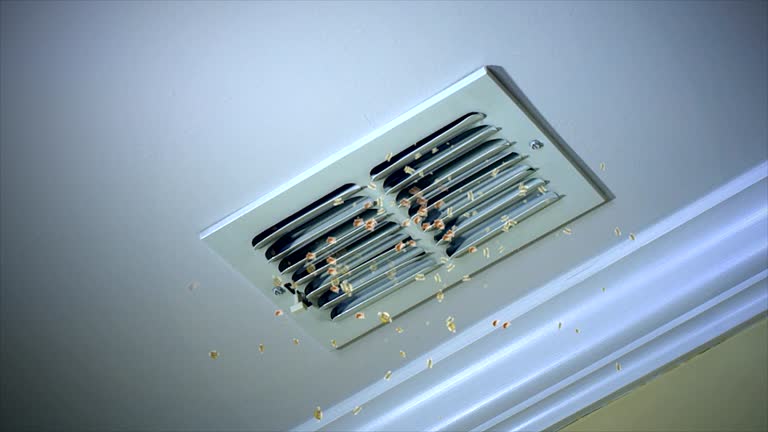 Best Residential Air Duct Cleaning  in Lake Lifornia, CA