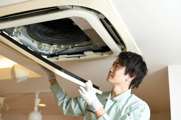 Best Affordable Duct Cleaning Services  in Lake Lifornia, CA
