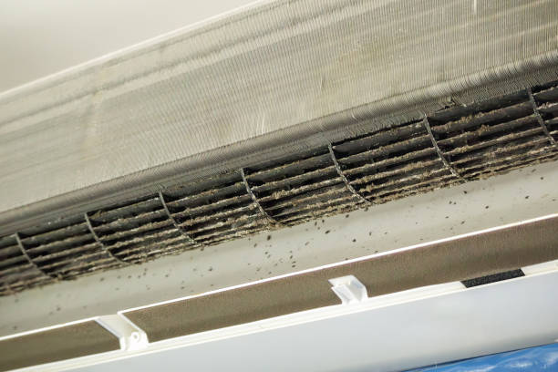 Best Air Duct Cleaning Near Me  in Lake Lifornia, CA